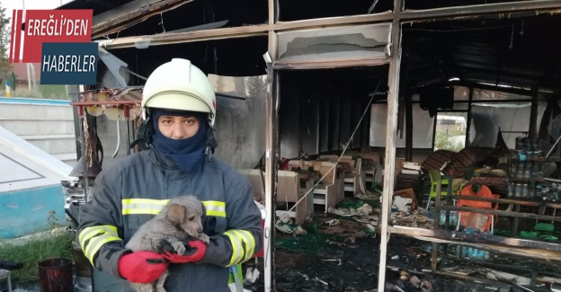 Konya’da büfe yandı, kediler ve köpek kurtarıldı